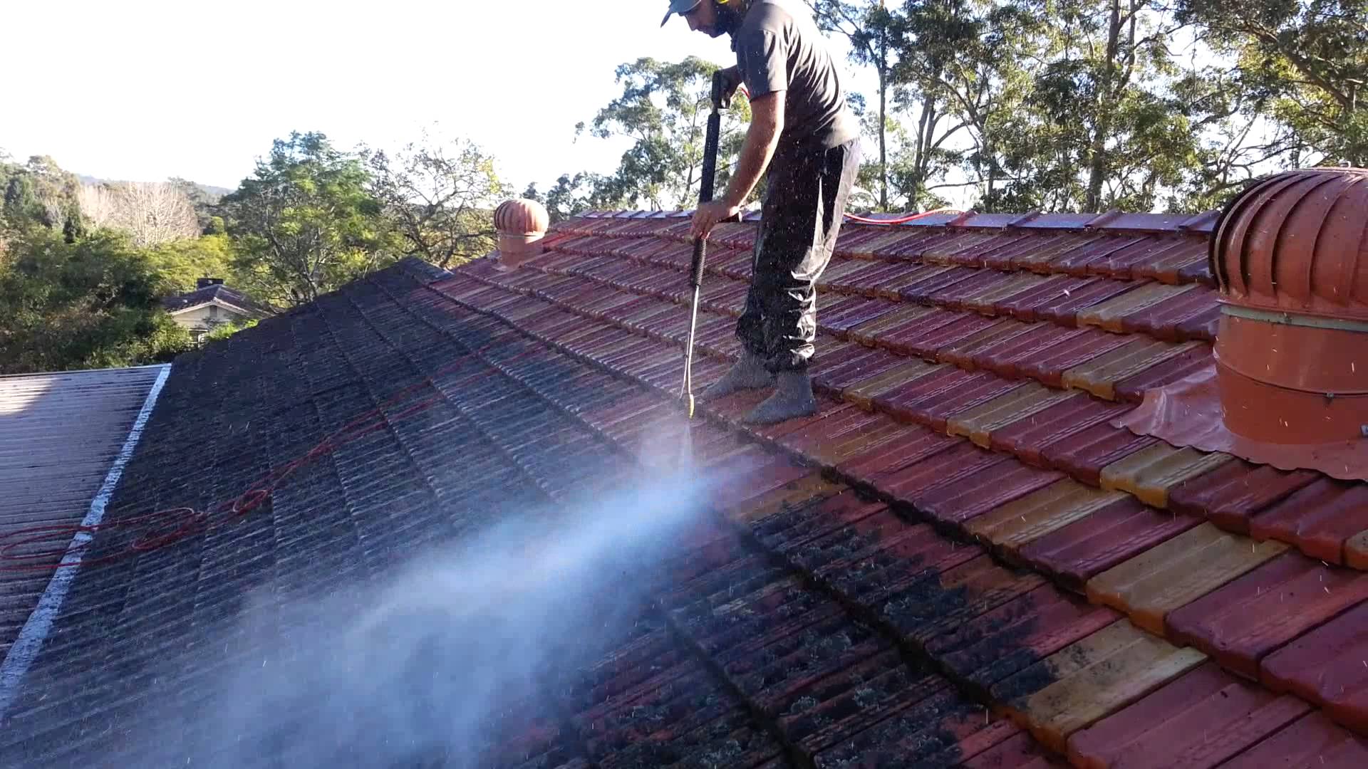 Roof Moss Removal