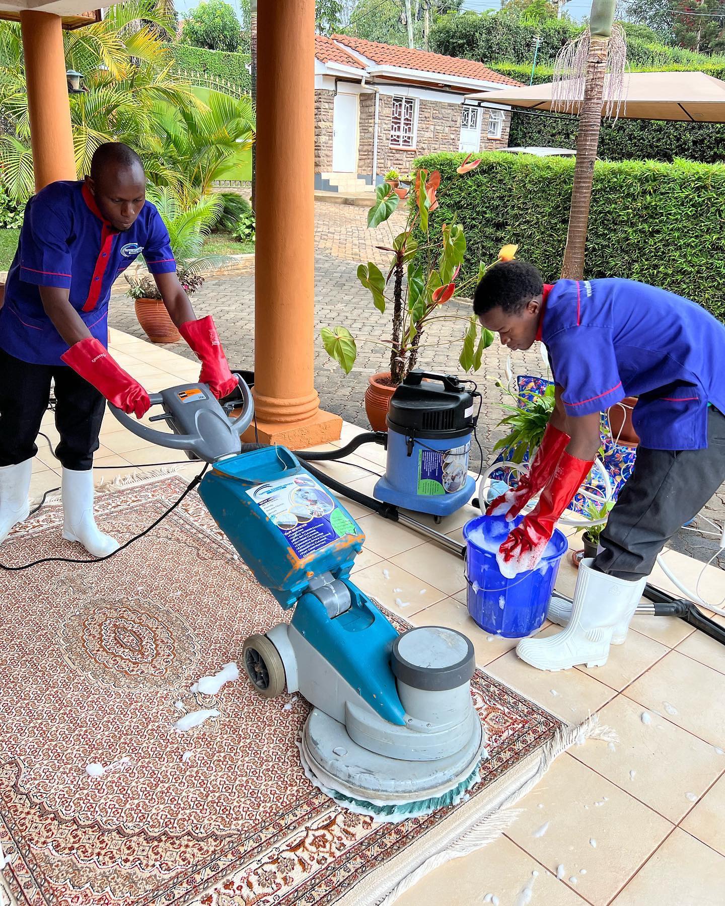 Carpet Cleaning
